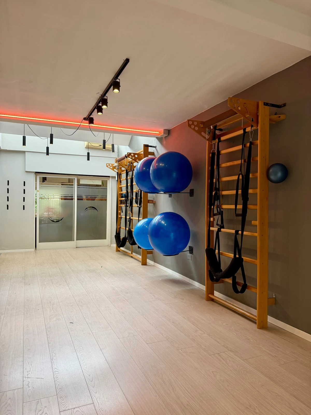 Sala de VIANETT® con espalderas y pelotas